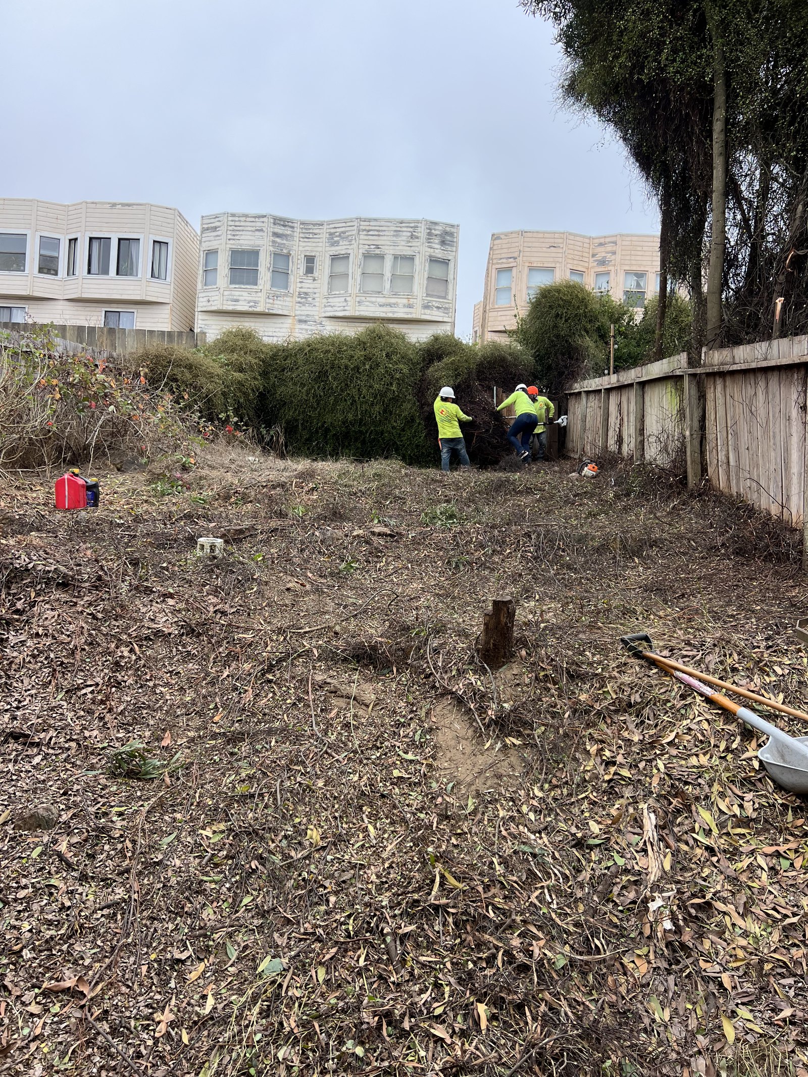 A slope cleared of brush and ladder fuels above a property