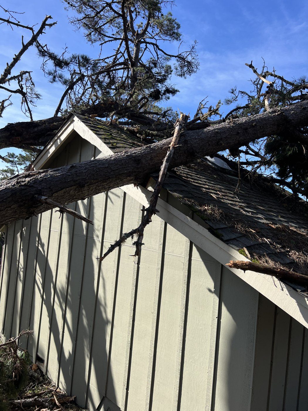A fallen tree resting on a house roof after a storm