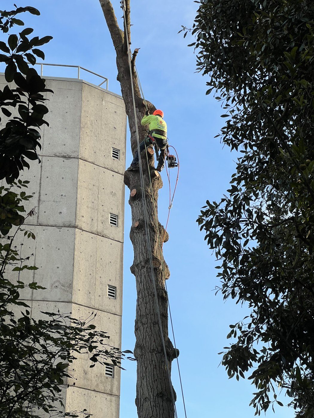 Climber working a bare spar beside a building