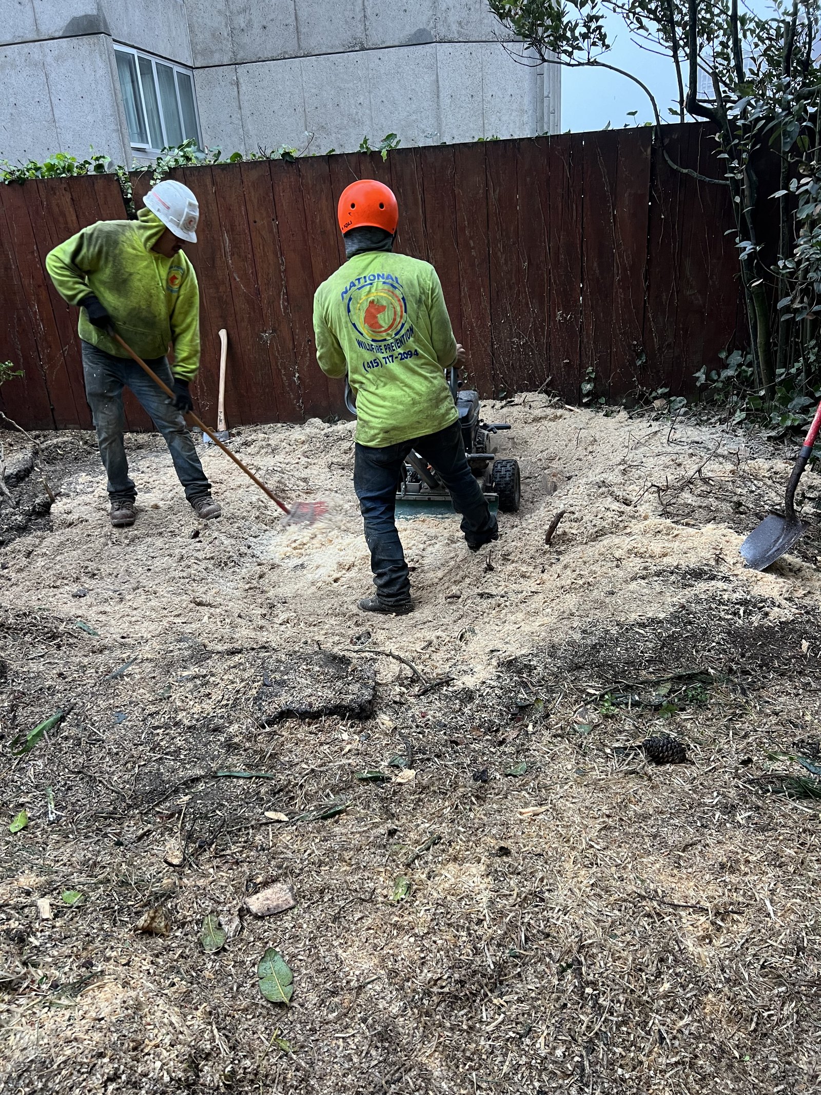Ground stump raked out and cleaned up
