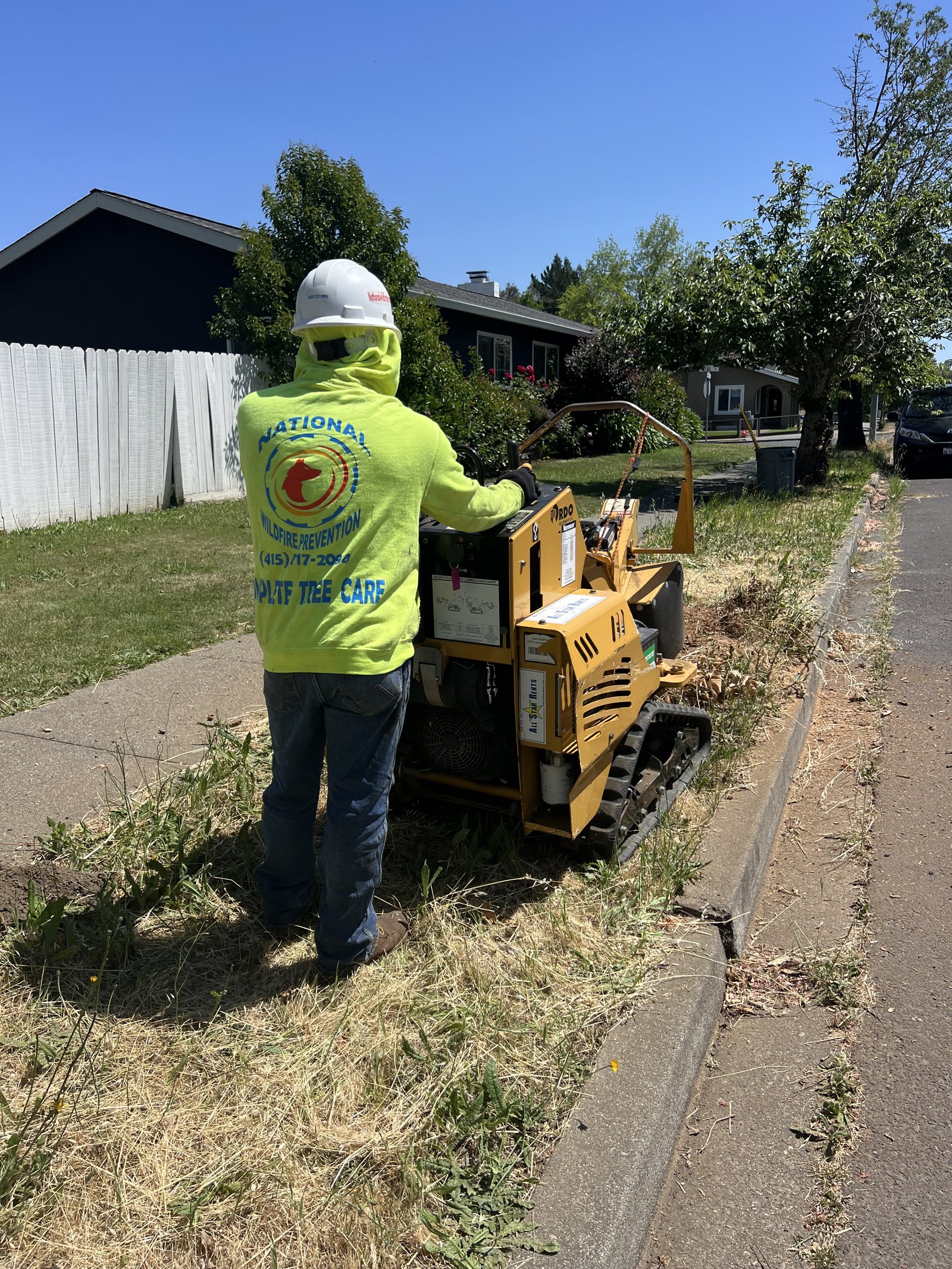 Stump grinder working a parkway stump